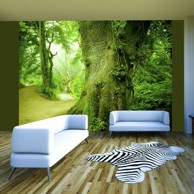 Foto tapeta Forest pathway 300x231