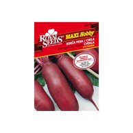 ROYAL SEEDS Sjeme povrća 39 cikla cylindra