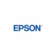 EPSON UltraChrome DG White T55BA00 C13T55BA00