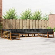Set vanjskih sofa s jastukom, 10-dijelni, prirodni i antracit