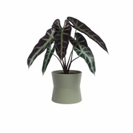 ARTEVASI Keramička tegla za cvijeće ø 14 cm Diana 