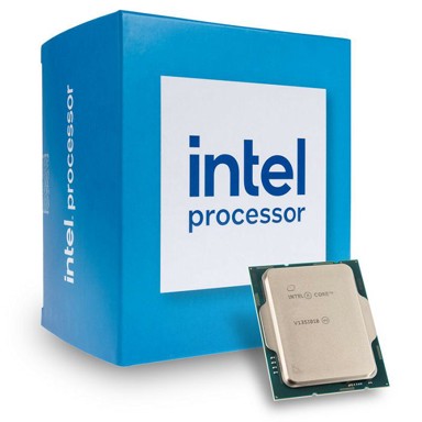 INTEL Procesor 300 3,9 GHz (Raptor Lake Refresh) Socket 1700
