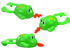 Plutajuća žaba, zelena