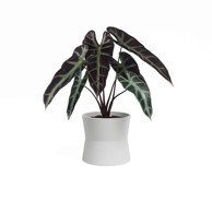 ARTEVASI Keramička tegla za cvijeće ø 20 cm Diana 