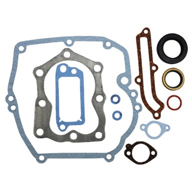 BRIGGS & STRATTON Komplet brtvi motora 496117 493263