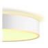 PHILIPS HUE LED Stropna svjetiljka 33,5 W Enrave
