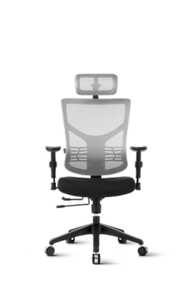 ERGOVISION Ergonomska uredska stolica Essent, bijelo-crna