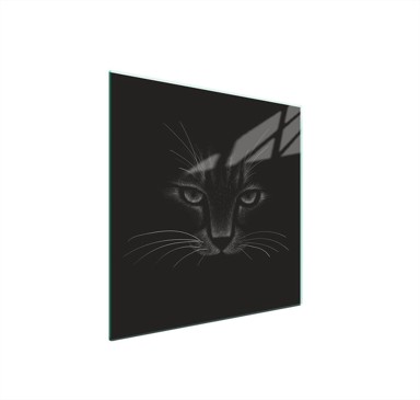 TMK Staklena zaštita za štednjak ili ploču za kuhanje 50x52, mačka.