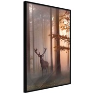 Poster Forest Seclusion 40x60