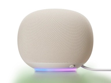 GOOGLE Pametni zvučnik Home Speaker, porculanski