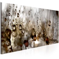 Slika Drops of Water 150x50