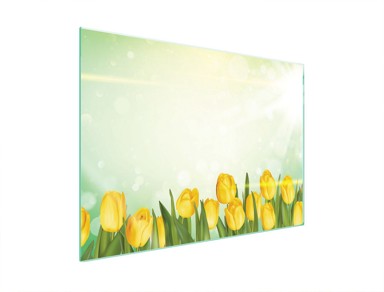 TMK Staklena zaštita za štednjak, 70x52 cm, tulipani
