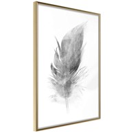 Poster Lost Feather (Grey) 30x45