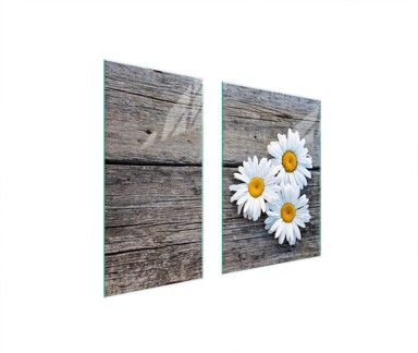 TMK Staklena zaštita za štednjak, 75x52 cm, daisy