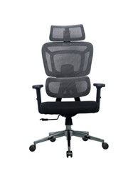 ERGOVISION Ergonomska uredska stolica Apollo, siva