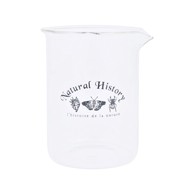 ESSCHERT DESIGN Vaza staklena Natural History, visina 12 cm