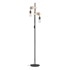 EGLO Crna/u prirodnoj boji LED stojeća svjetiljka (visina 166,5 cm) TOWNSHEND 