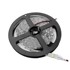 LED Traka 5050, 30SMD/m, IP20, 5 m, hladno bijela