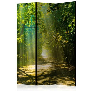 Sobna pregrada u 3 dijela Road in Sunlight 135x172