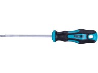 EXTOL PREMIUM TORX odvijač 8819245, T15x100 mm, CrV