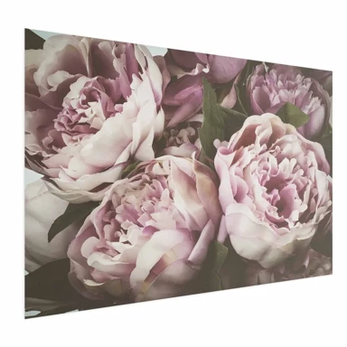 Plakat Pink Peonies, 42x29.7 cm