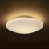 RENDL Stropna lampa, Sara LED 36, opal staklo/krom, 230V, LED, 24W, IP44, 3000K, krom