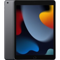 APPLE iPad 10.2 Wi-Fi 256GB 9.Gen sivi