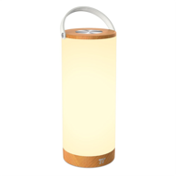 TAOTRONICS Prijenosna LED svjetiljka TT-DL23