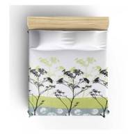 Lagani pamučni prekrivač za bračni krevet Belezza Green, 200 x 230 cm