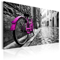 Slika Vintage Pink Bike 90x60