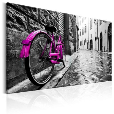 Slika Vintage Pink Bike 90x60