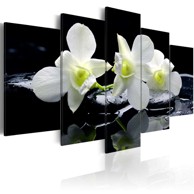Slika Melancholic orchids 100x50