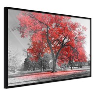 Poster Red Tree 30x20
