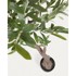 KAVE HOME Umjetno drvo masline Olive, visina 140 cm