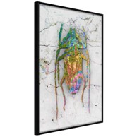 Poster Iridescent Insect 40x60