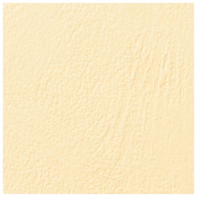 GBC korice za spiralni uvez A4, kartonske, reljefne, 250 g, 100 kom., bež