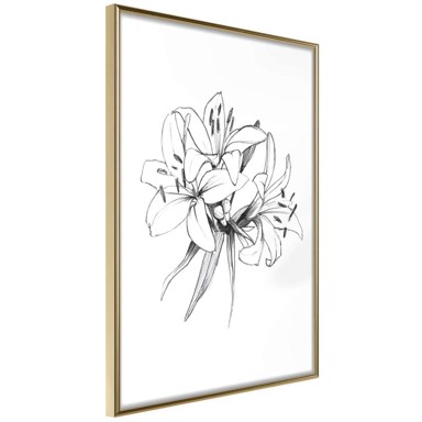 Poster Sketch of Lillies 30x45