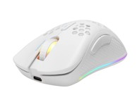 DELTACO Gaming miš WM80 bežični RGB, bijeli