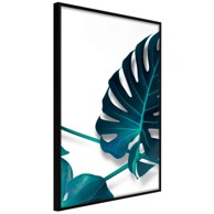 Poster Turquoise Monstera I 40x60