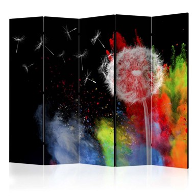 Sobna pregrada u 5 dijelova Colourful Element II 225x172