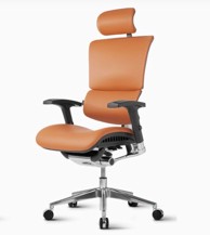 ERGOVISION Ergonomski uredski stolac SMART DELUXE 01, konjak boja