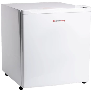 MELCHIONI FAMILY Mini hladnjak IGLOO 59091, kapacitet 46 l, energetski razred E