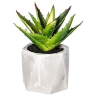 ATMOSPHERA Umjetno cvijeće u tegli Sukulenti 7 x 14 cm, bijela