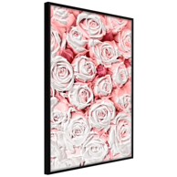 Poster Purity 30x45