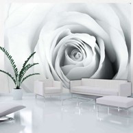 Foto tapeta Rose charade 100x70