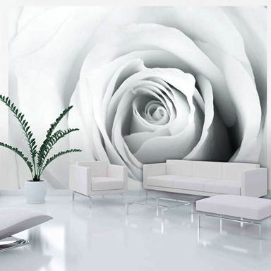 Foto tapeta Rose charade 100x70