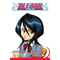 Bleach vol. 2