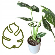 Kopča za potporu biljaka Strong Monstera S 10 cm