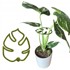 Kopča za potporu biljaka Strong Monstera S 10 cm
