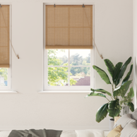 Zavjese od bambusa 80x220 cm, smeđe 